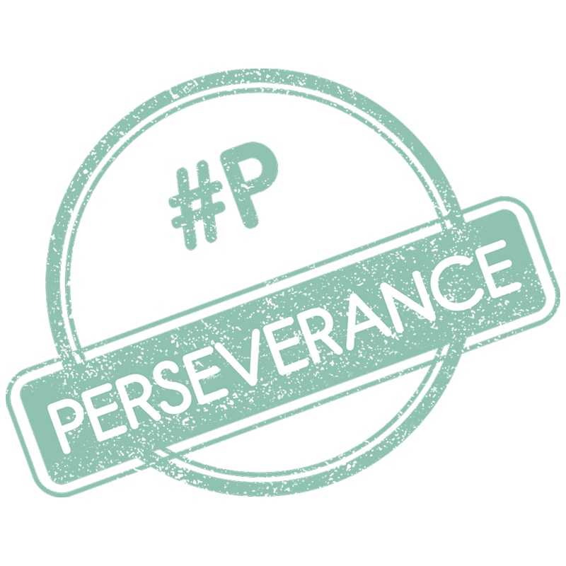 Perseverance 1